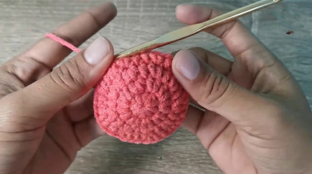 crochet monster key case pattern crochet project crochet project detail 2