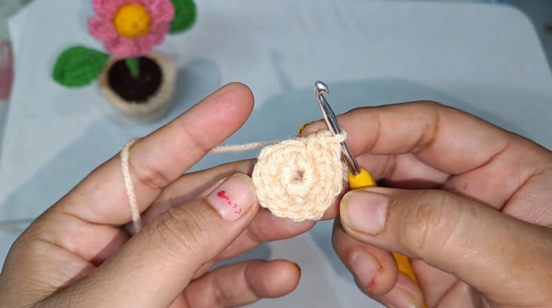 crochet watermelon doll crochet project crochet project detail 2