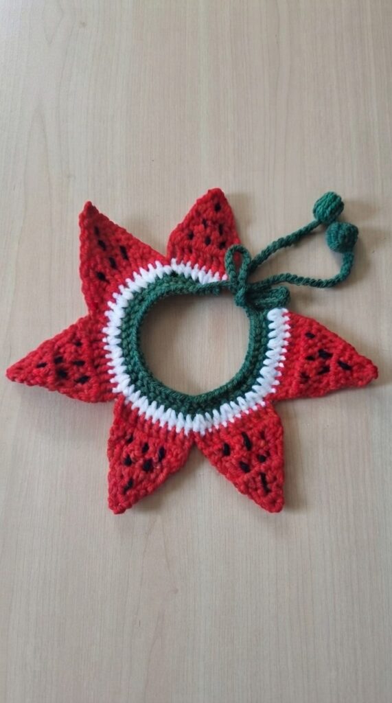 crochet watermelon pet collar - featured image