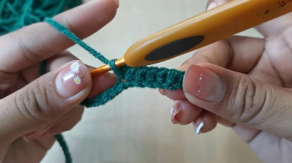 crochet watermelon pet collar crochet project crochet project detail 2