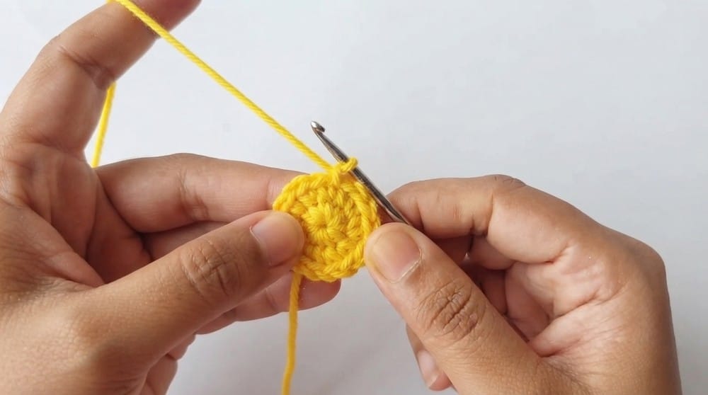 mini crochet pumpkin pattern crochet project crochet project detail 2