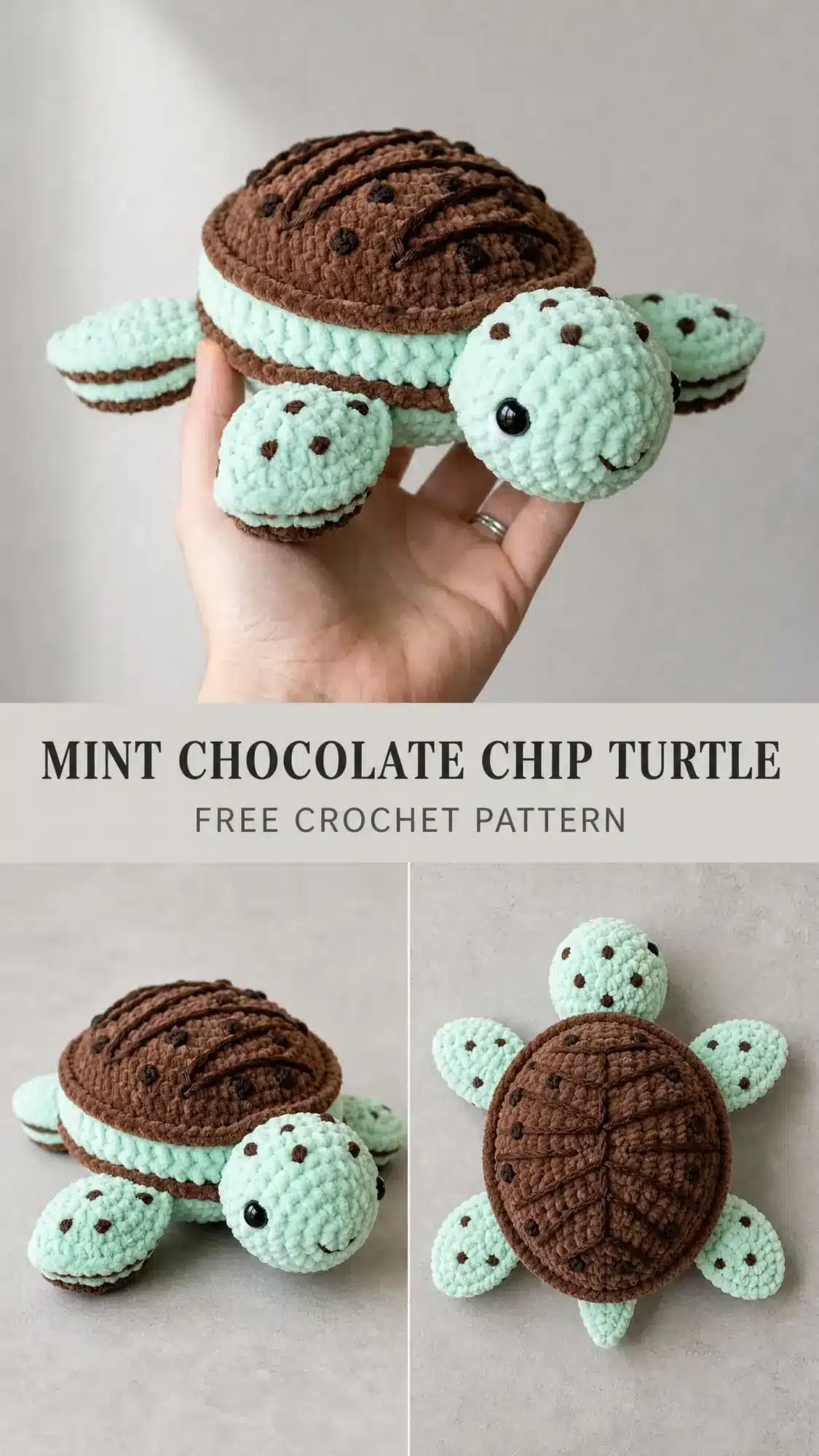 mint chocolate chip turtle crochet pattern crochet project crochet project detail 1